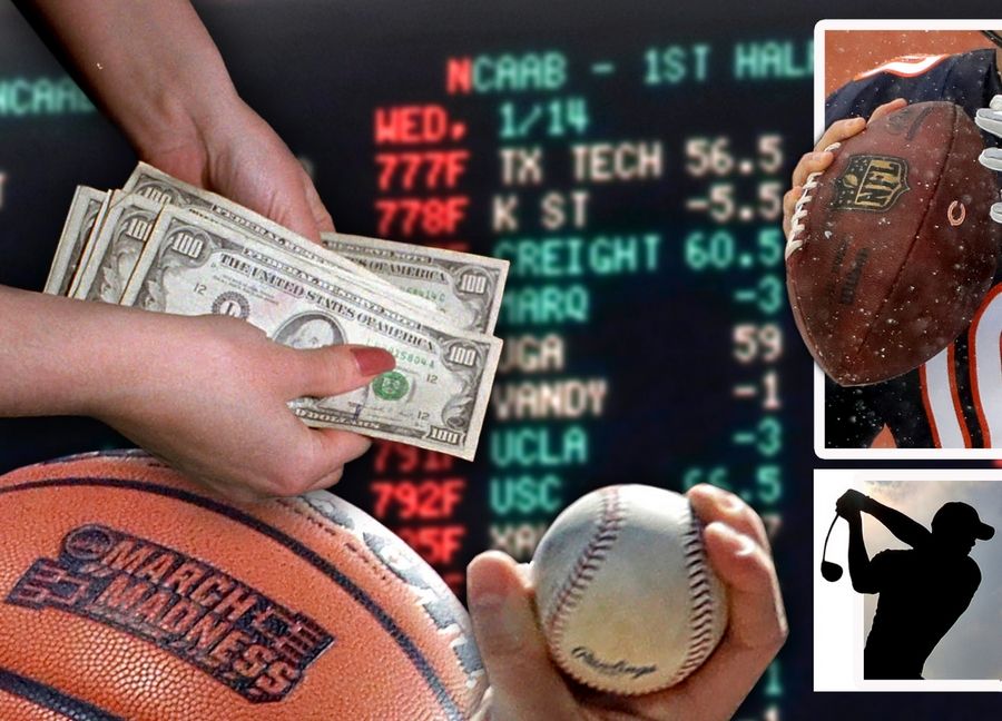 Usf Vs Byu School Exercise mermaids millions slot machine Possibilities, Picks, Predictions